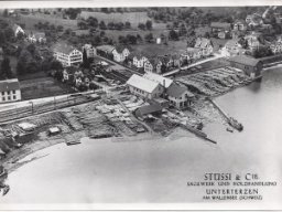 b2ap3_small_stiessi_1993